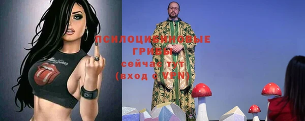 трава Слюдянка