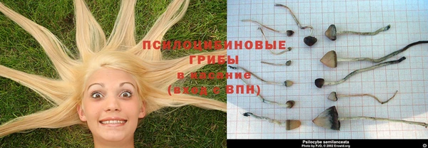 дмт Абинск