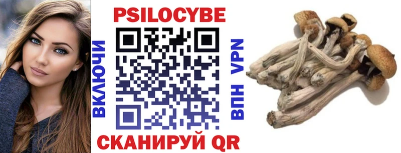 Псилоцибиновые грибы Cubensis  Сим 